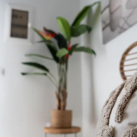 The Seven Islands Deluxe